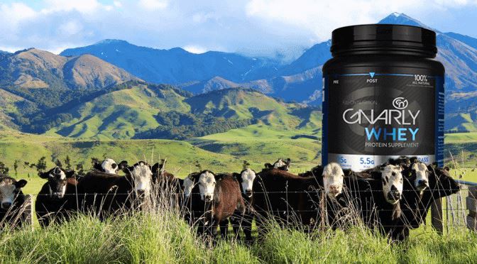 4 Differences Between Your Whey and Gnarly Whey