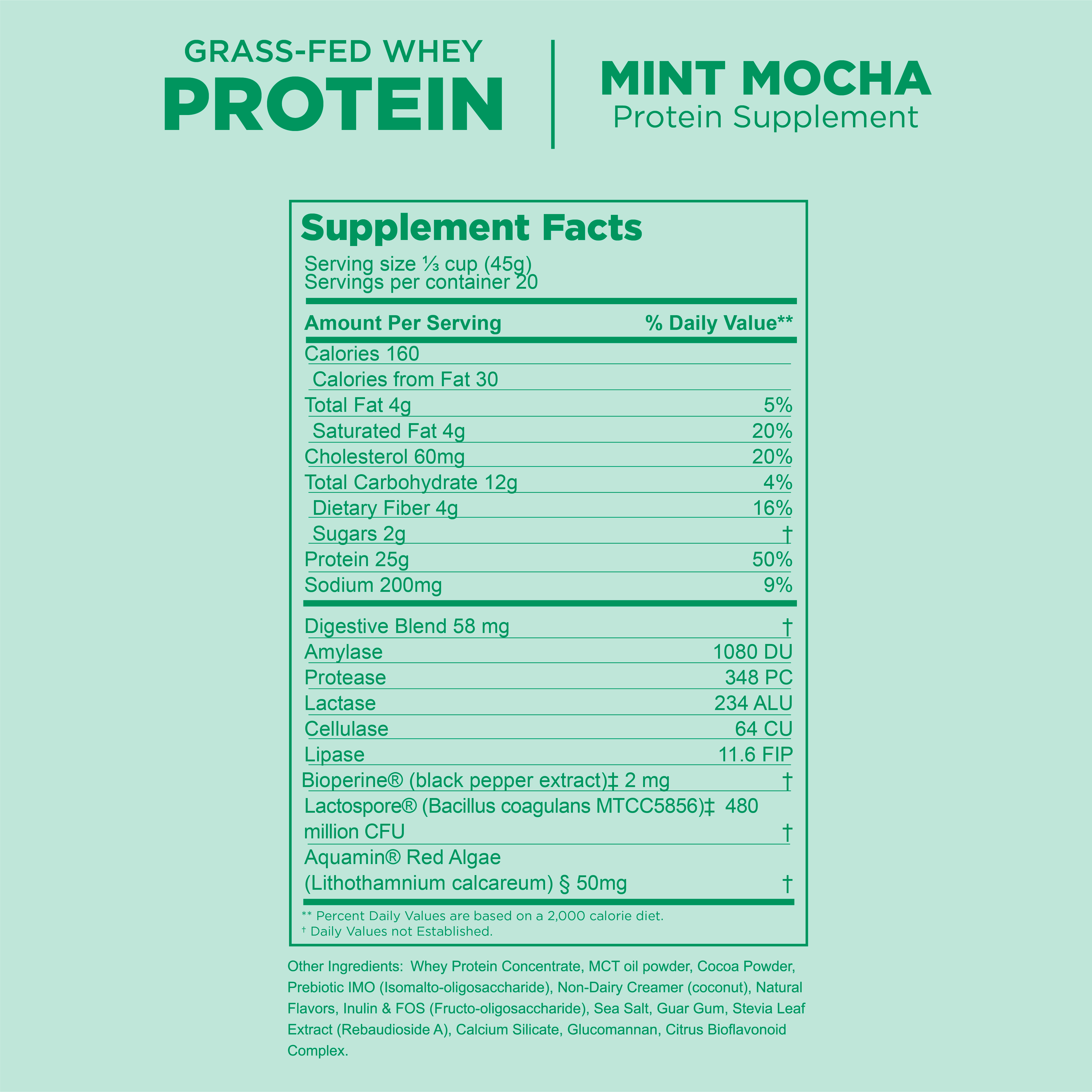 Protect Our Winters x Gnarly Mint Mocha Whey - Gnarly Nutrition