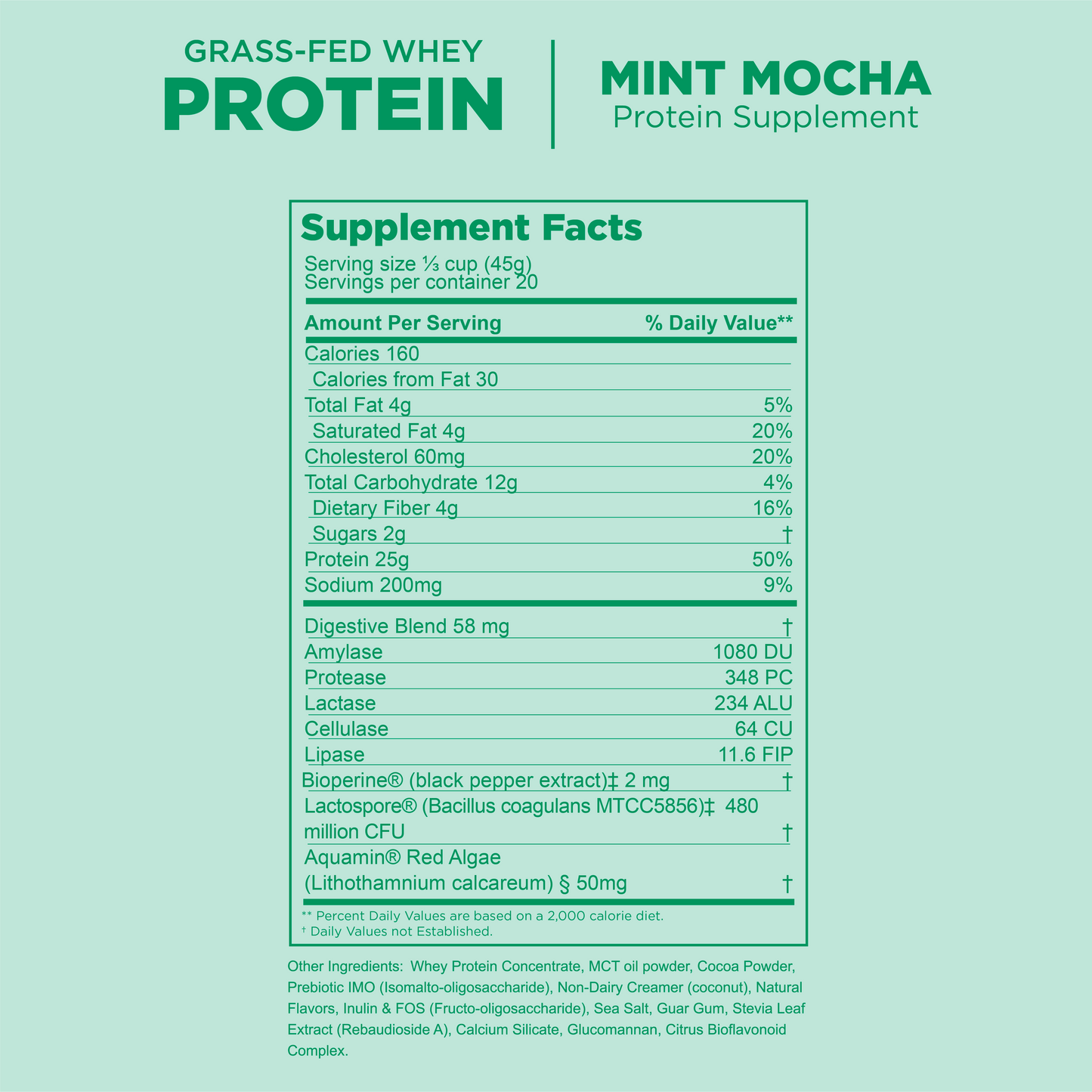 Protect Our Winters x Gnarly Mint Mocha Whey - Gnarly Nutrition