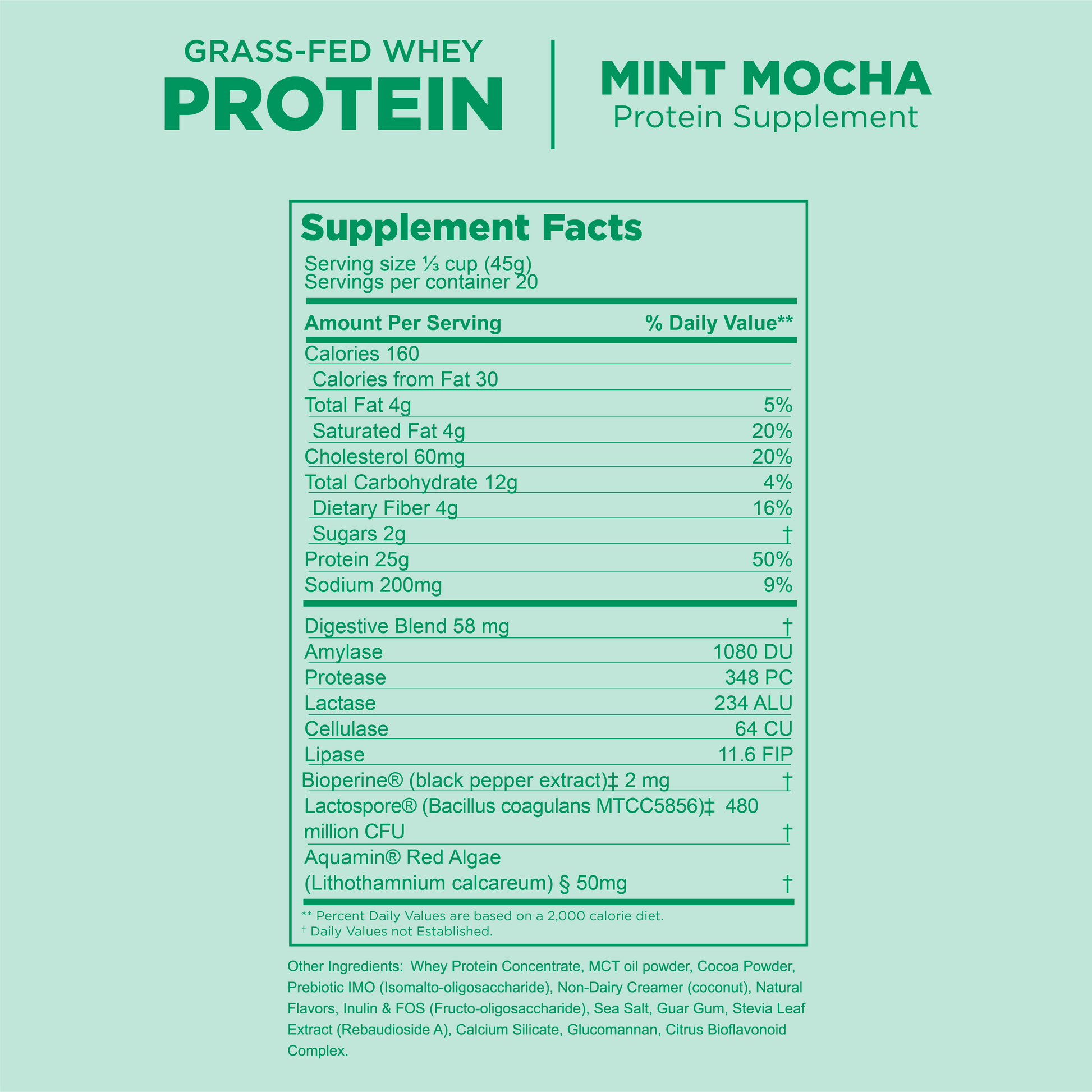 Protect Our Winters x Gnarly Mint Mocha Whey - Gnarly Nutrition