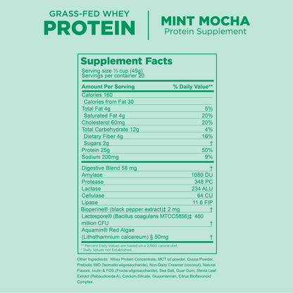 Protect Our Winters x Gnarly Mint Mocha Whey - Gnarly Nutrition
